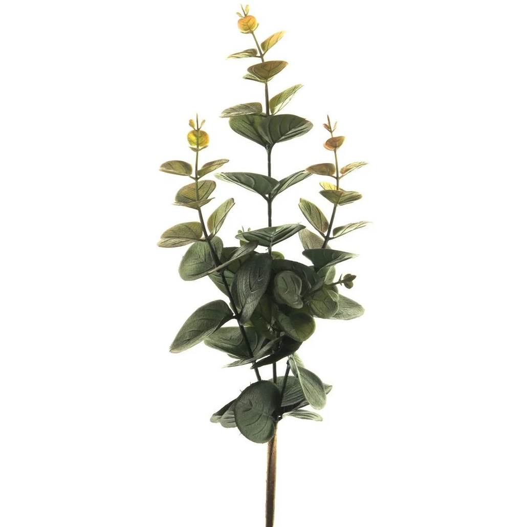 Bellatio Design Kunstbloem/kunsttak Eucalyptus Bella - cm - donkergroen - kunst zijdebloemen -