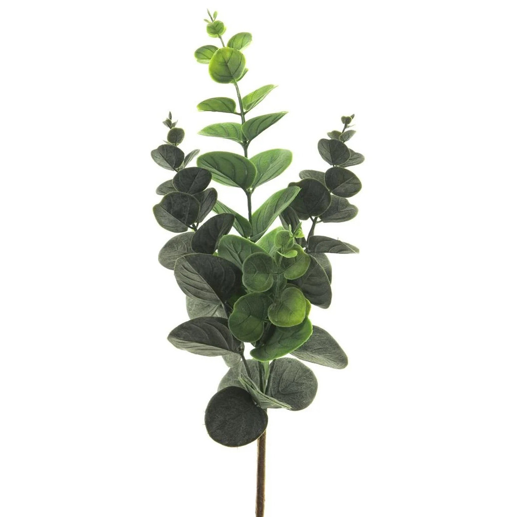Bellatio Design Kunstbloem/kunsttak Eucalyptus Bella - cm - groen - kunst zijdebloemen -