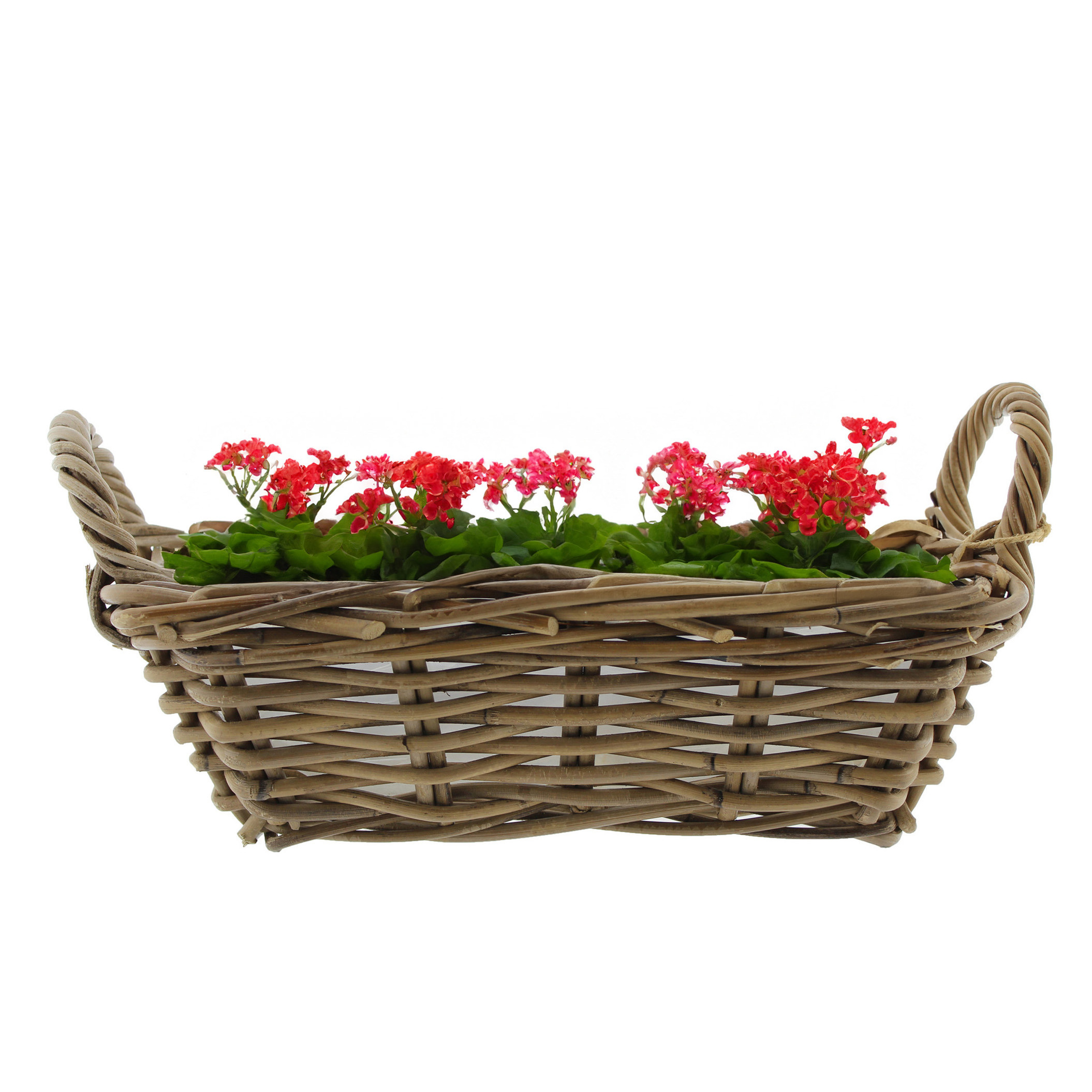 Van der Leeden Mand met hengsels - bruin - x 22 x 12 cm - rotan -