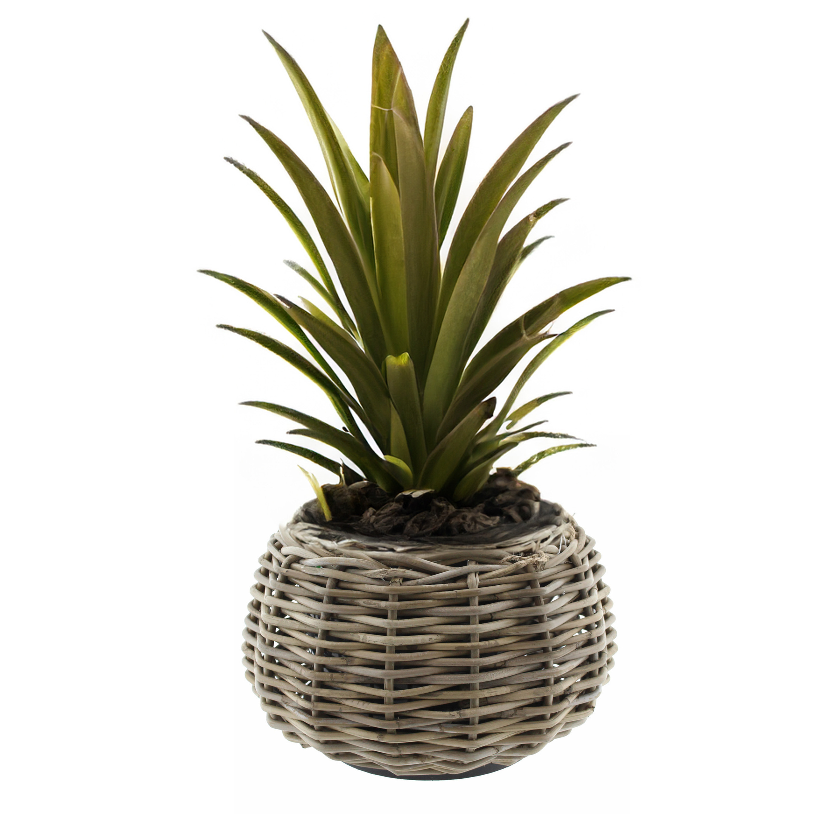 Van der Leeden Planten/bloemen mand - rotan - gevlochten -D30 x H19 cm -