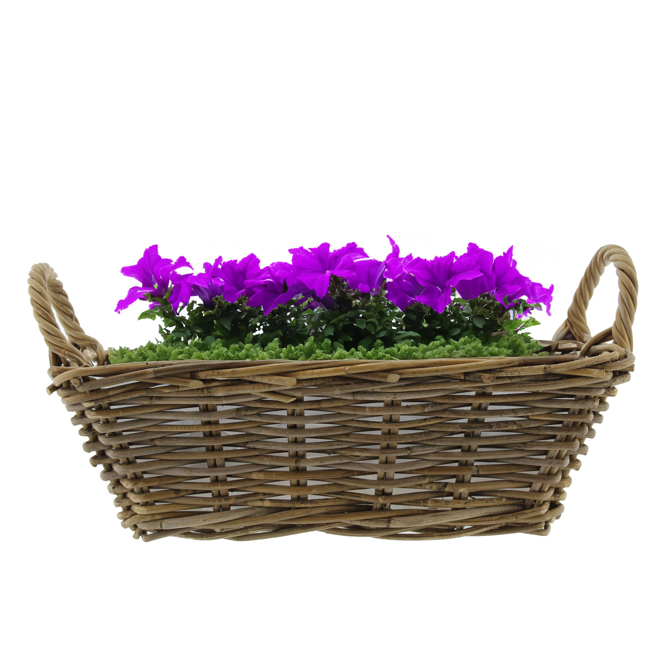 Van der Leeden Mand met hengsels - bruin - x 27 x 14 cm - rotan -