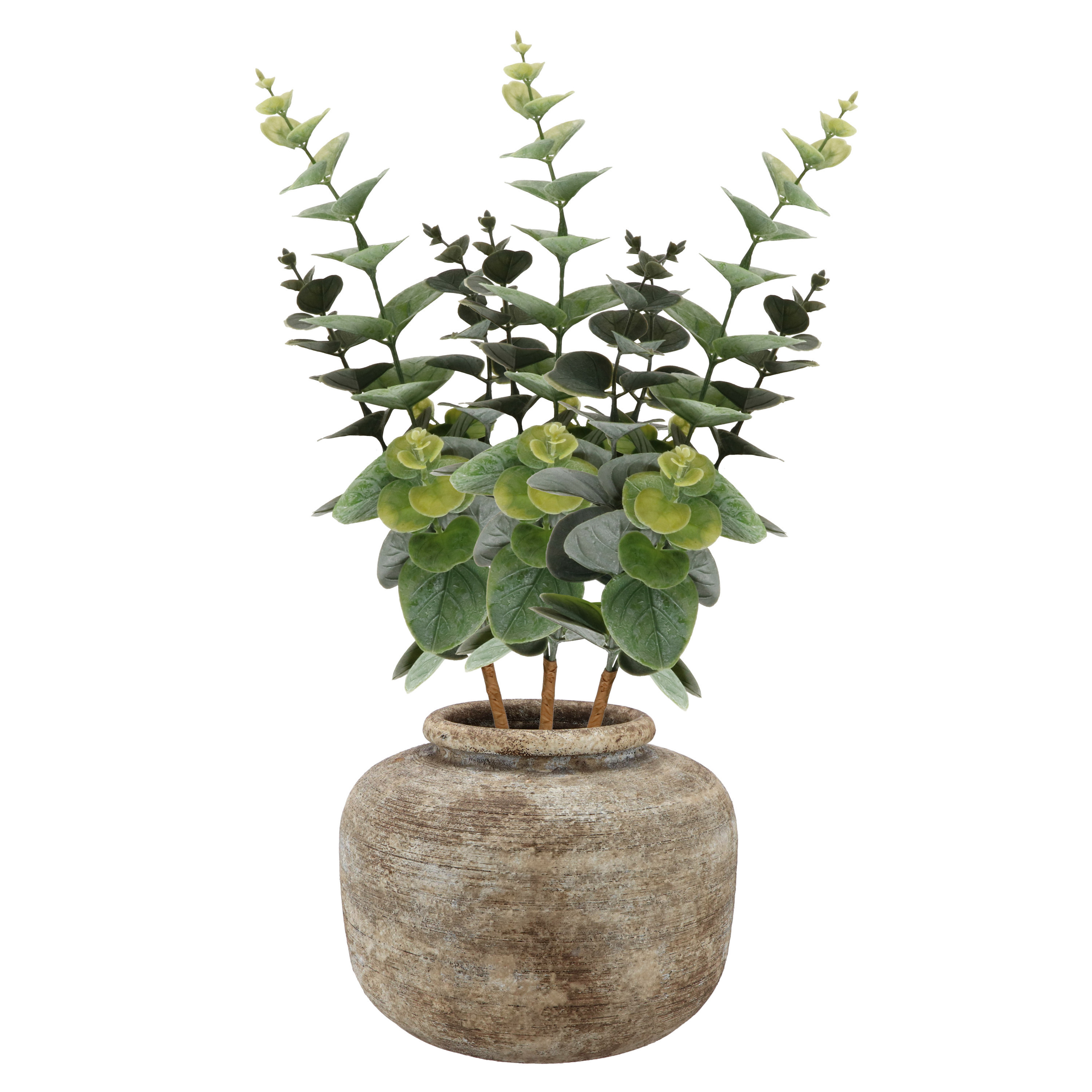Bellatio Design Kunstbloem/kunsttak Eucalyptus Bella - 3x - cm - donkergroen - kunst zijdebloemen -