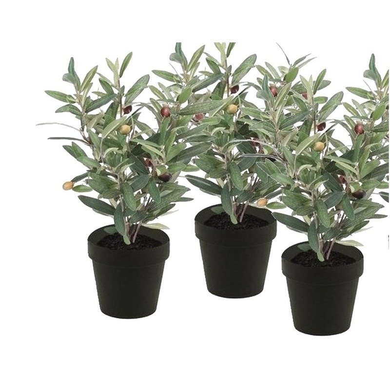 Bellatio flowers & plants 3x Kunstplanten olijfboompje groen in zwarte pot 35 cm -