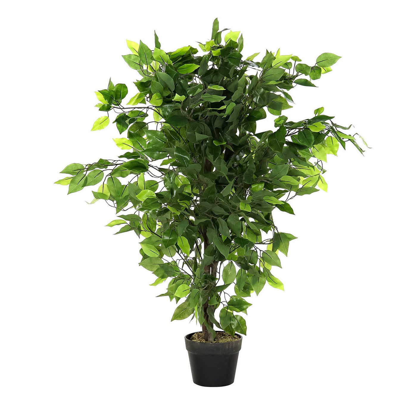 Items Kunstplant Ficus in bloempot - Groen - 50 x 90 cm -
