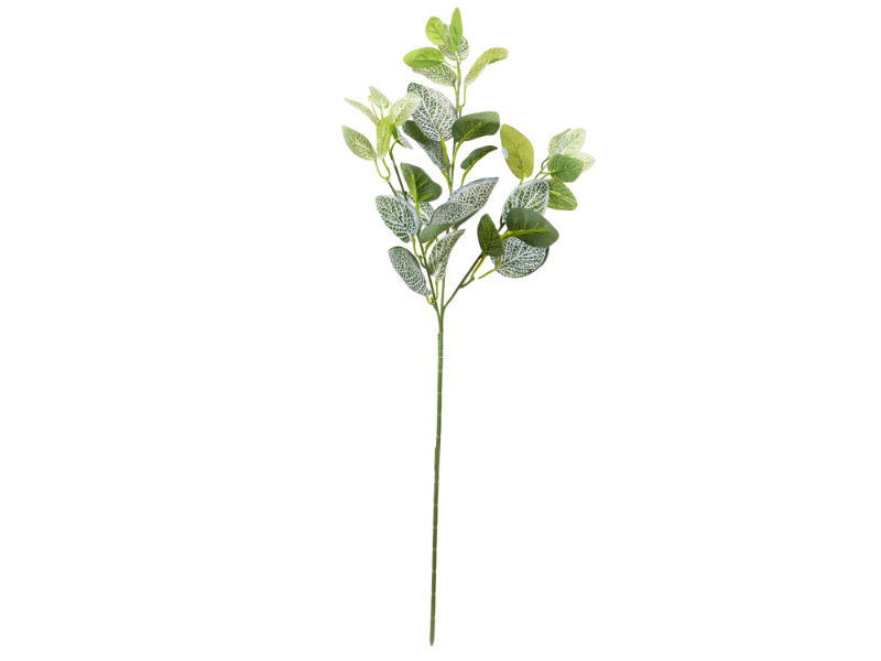 Louis maes Fittonia l60 cm groen/wt zijde nepbloem - 