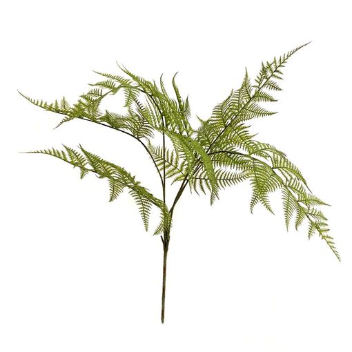 Emerald Fern garden bush x7 green 65 cm - 
