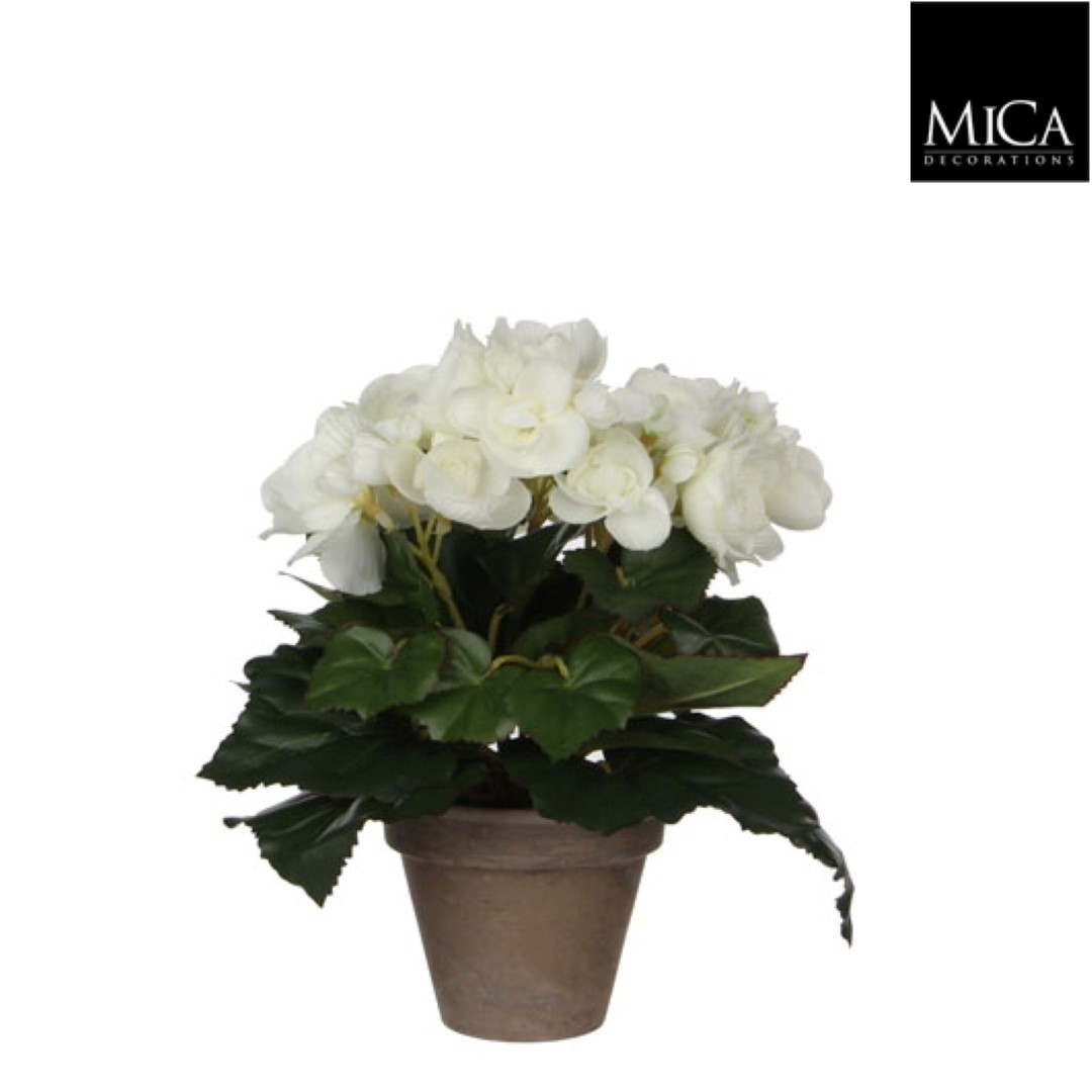 Mica decorations e 8 stuks! Begonia wit in pot stan grijs d9 cm h25xd20 cm Mica Decorations (e) - 