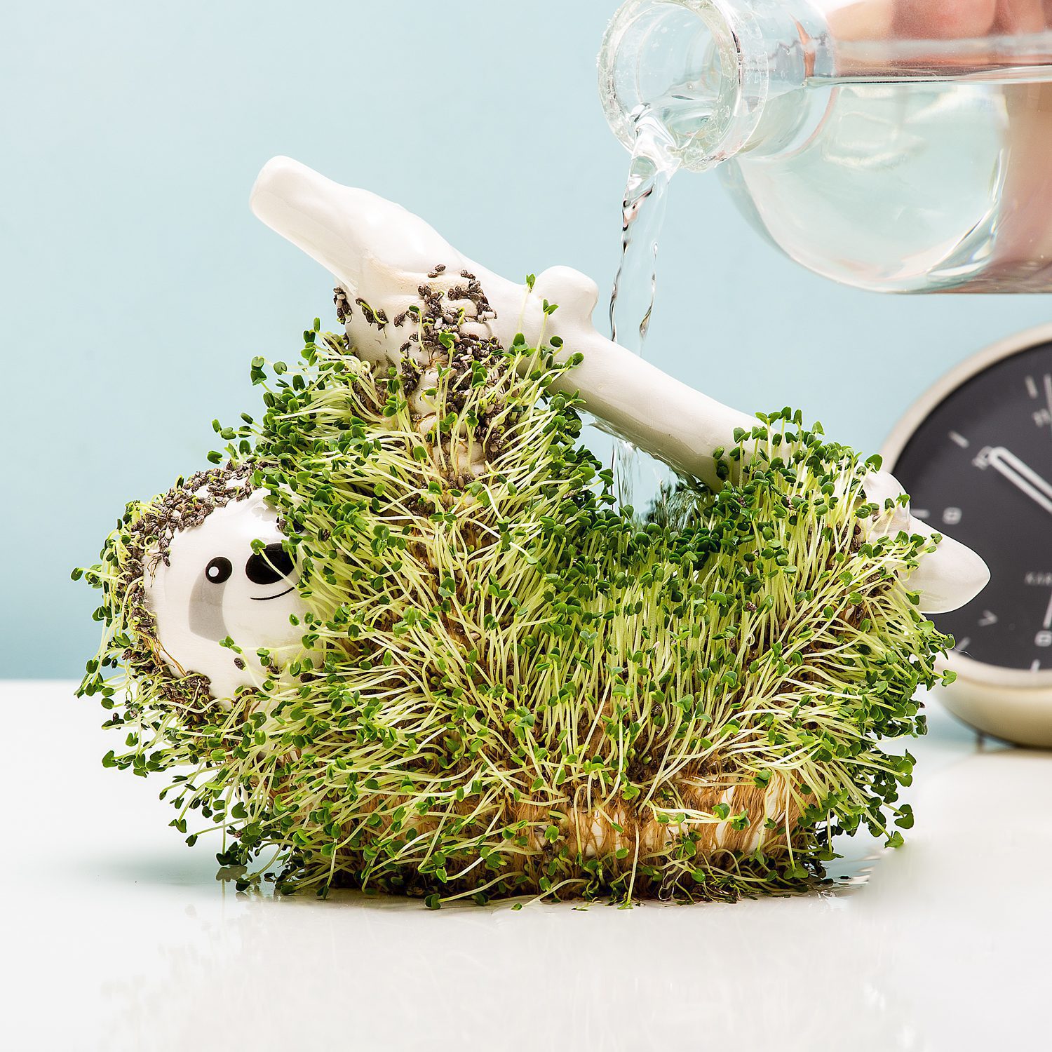 Gift Republic Luiaard bloempot met zaadjes