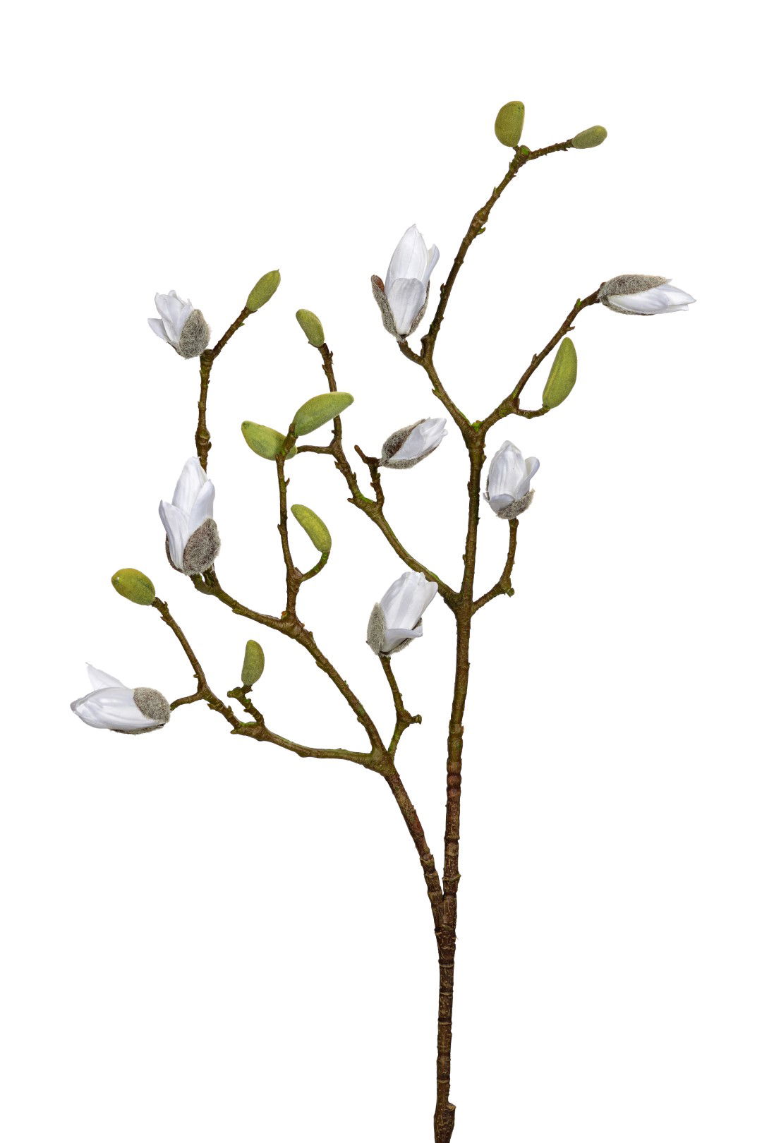 Louis maes Magnolia knoppen l90cm wit kunstbloem  - 