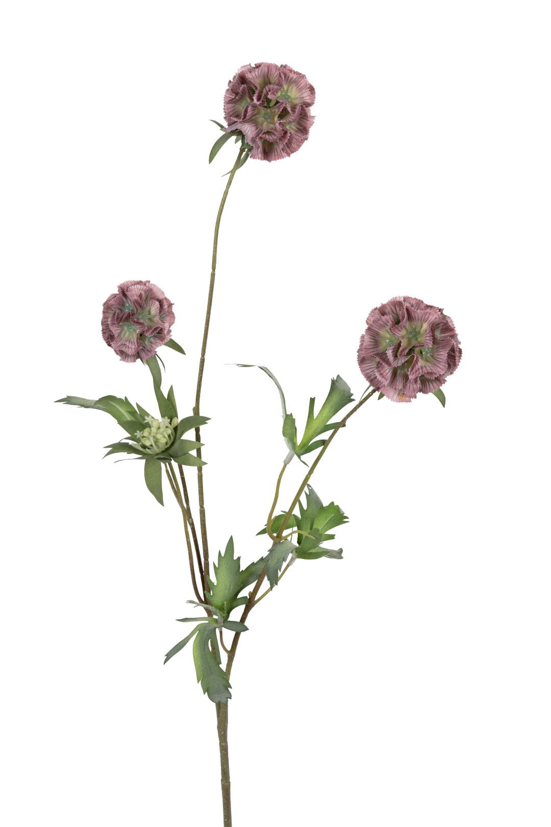 Louis maes Scabiosa stellata l75cm oud roze kunstbloem  - 