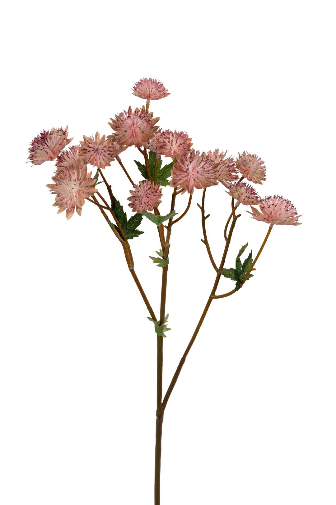 Louis maes Astrantia l60cm roze kunstbloem  - 