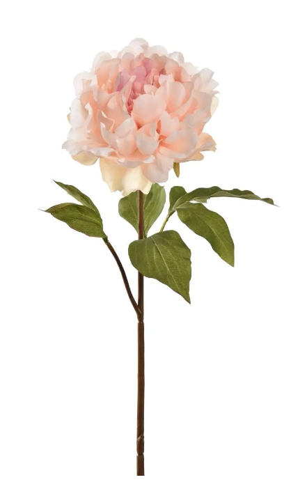 Jasaco Pioensteel open l57 cm creme/roze kunstbloem zijde nepbloem - 