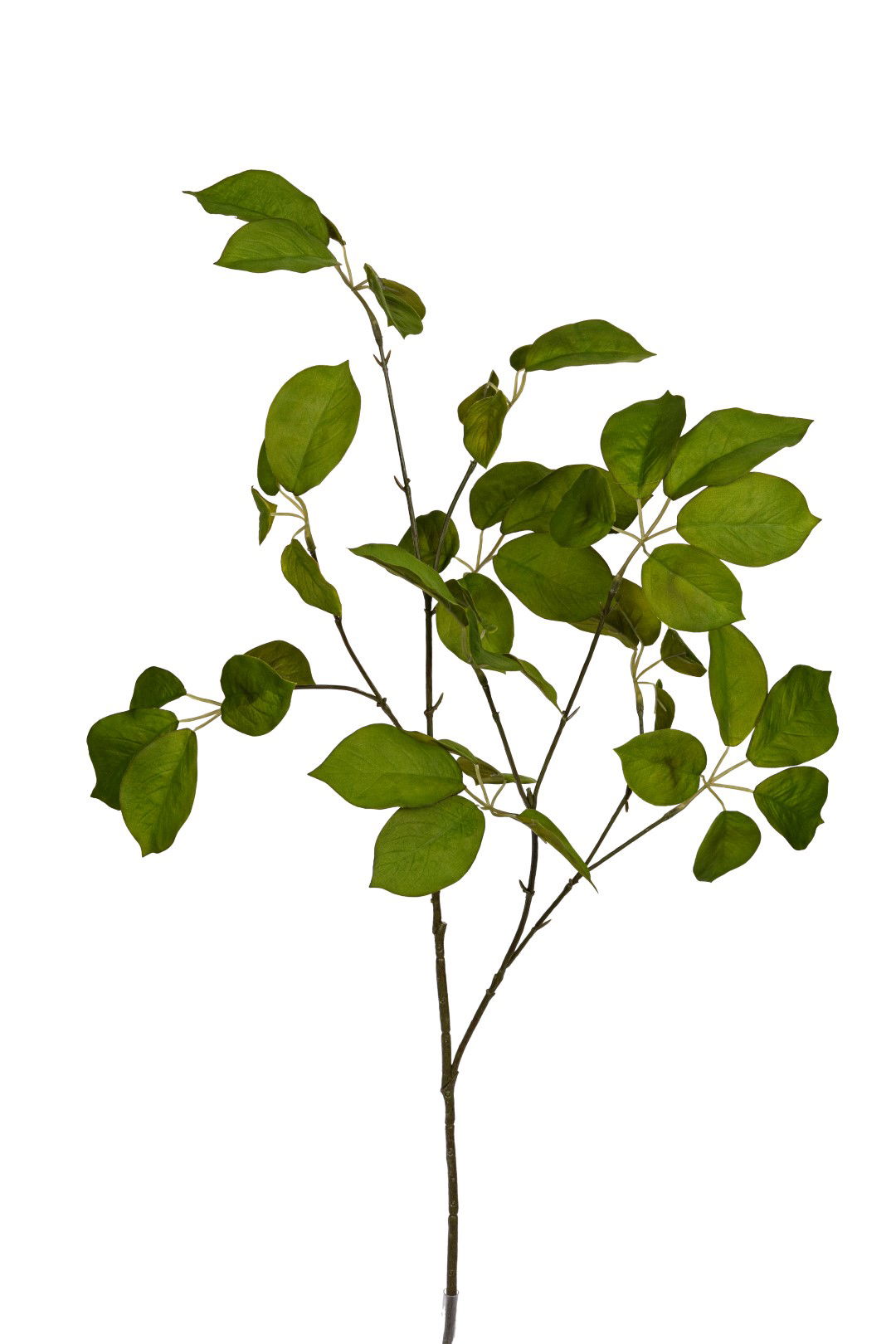 Louis maes Rozenblad l88cm groen kunstbloem  - 