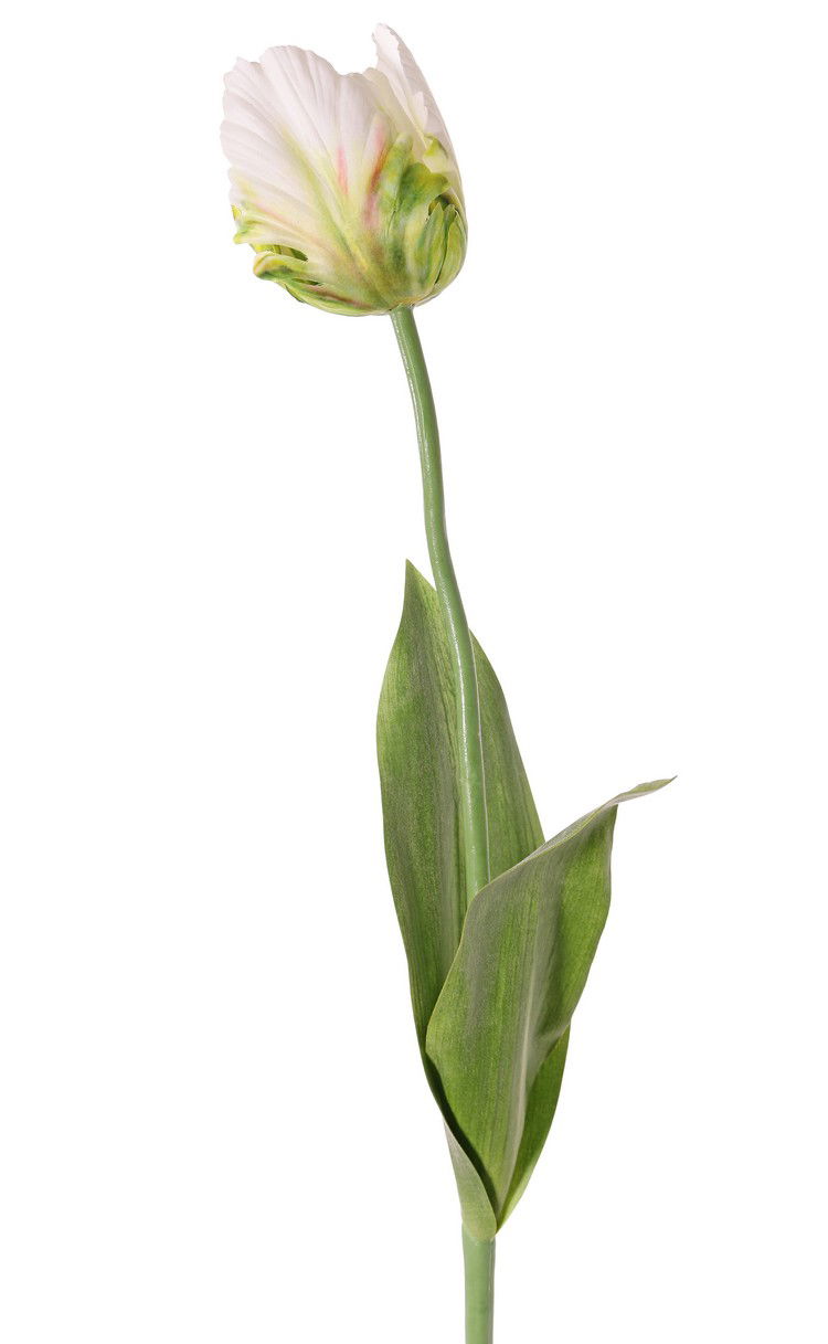 Driesprong collection Tulp wit/geel kunstbloem zijde nepbloem - 