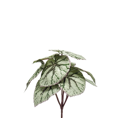 Emerald Kunsttak begonia leaves bush 25 cm grey - 