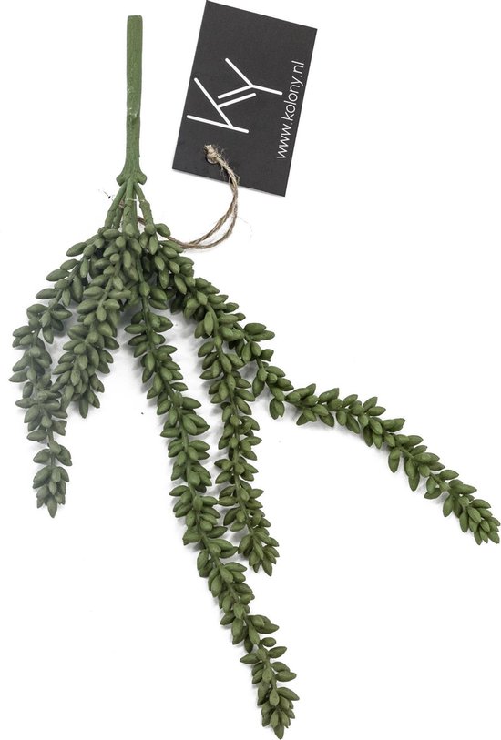 Countrylifestyle erwten plant