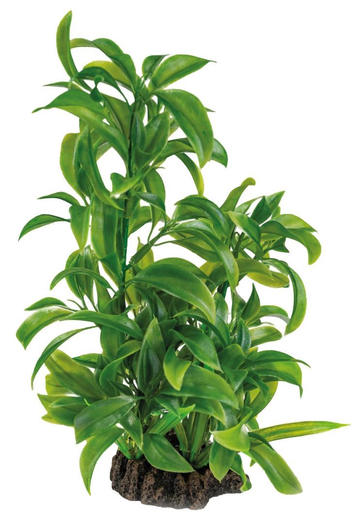 SuperFish Art Plant 25CM Dracaena