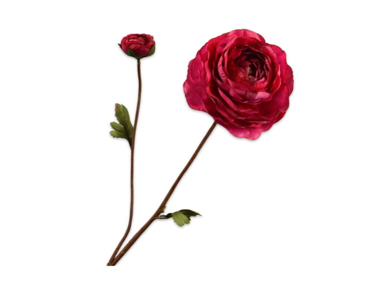Silkka Ranonkeltak l65 cm beauty - 