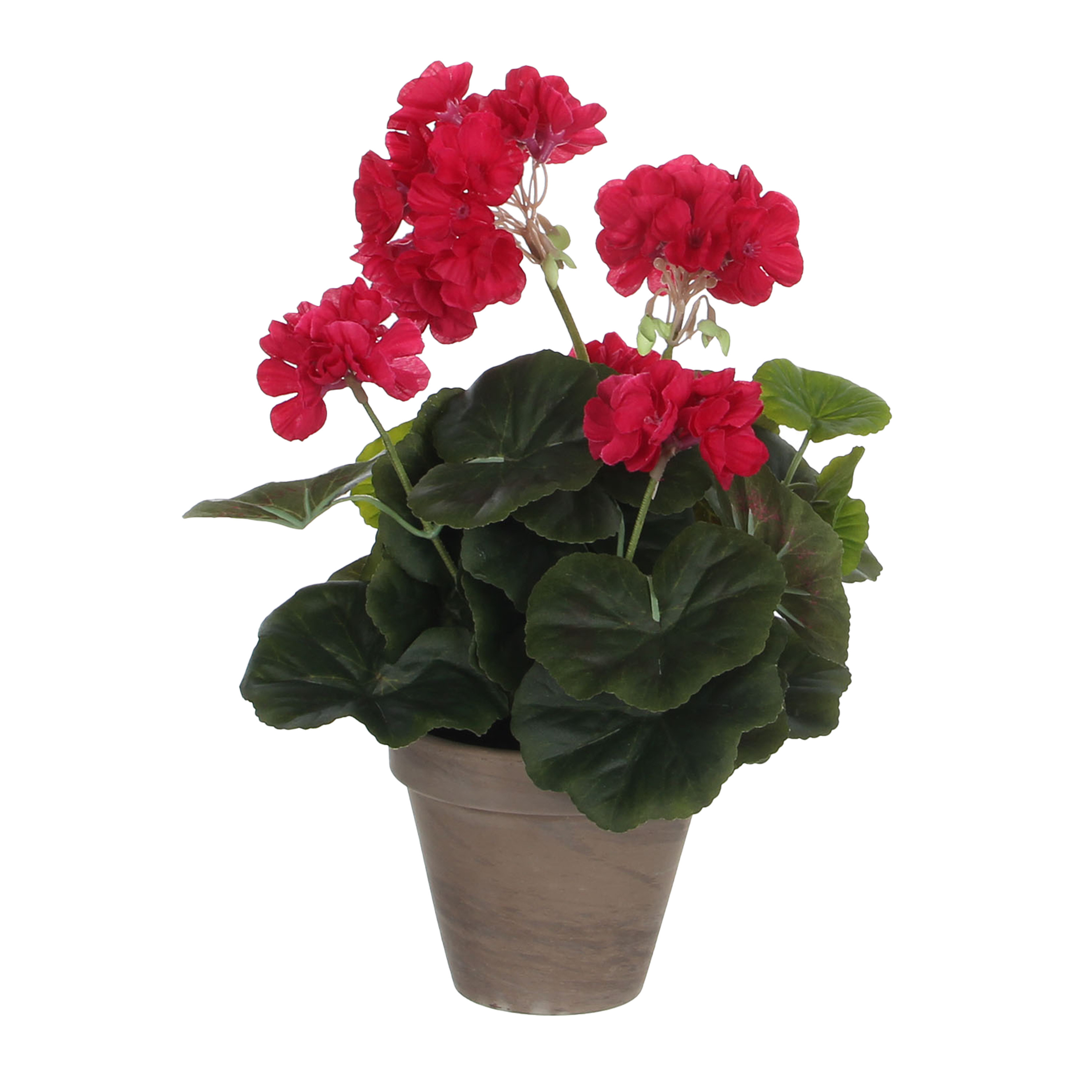 Mica Decorations Kunstplant - geranium - rood - in pot - cm -