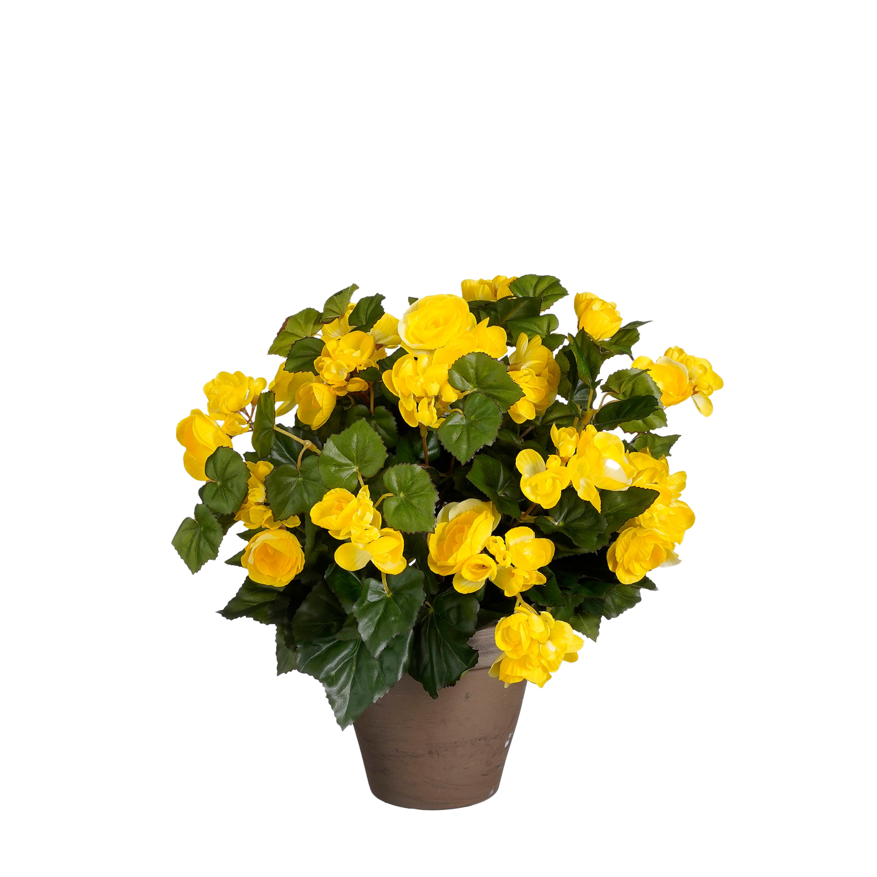 Mica Decorations Kunstplant - begonia - geel - in pot - cm -