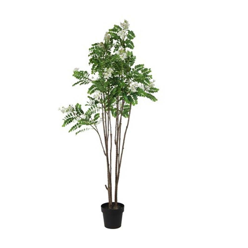 Countryfield Kunstplant Cassia Glauca wit L