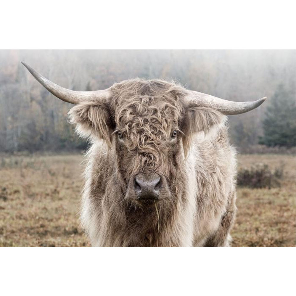 Countrylifestyle Glasschilderij Hooglander in de natuur
