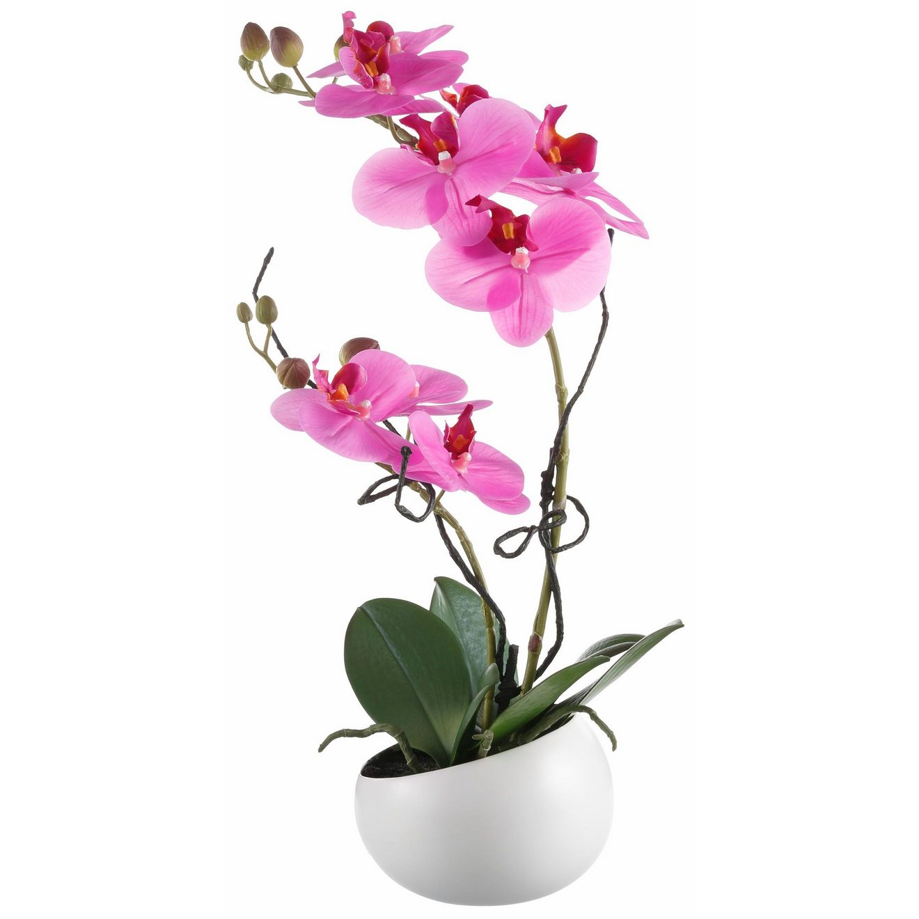 Creativ green Kunstplant Orchidee (1 stuk)