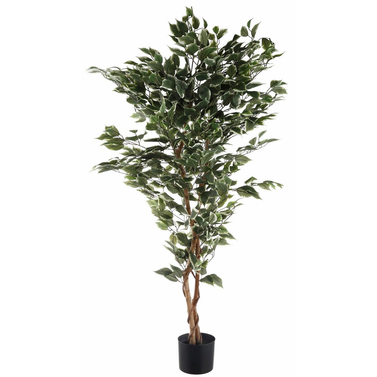 Creativ green Kunstplant Ficus Benjamini (1 stuk)