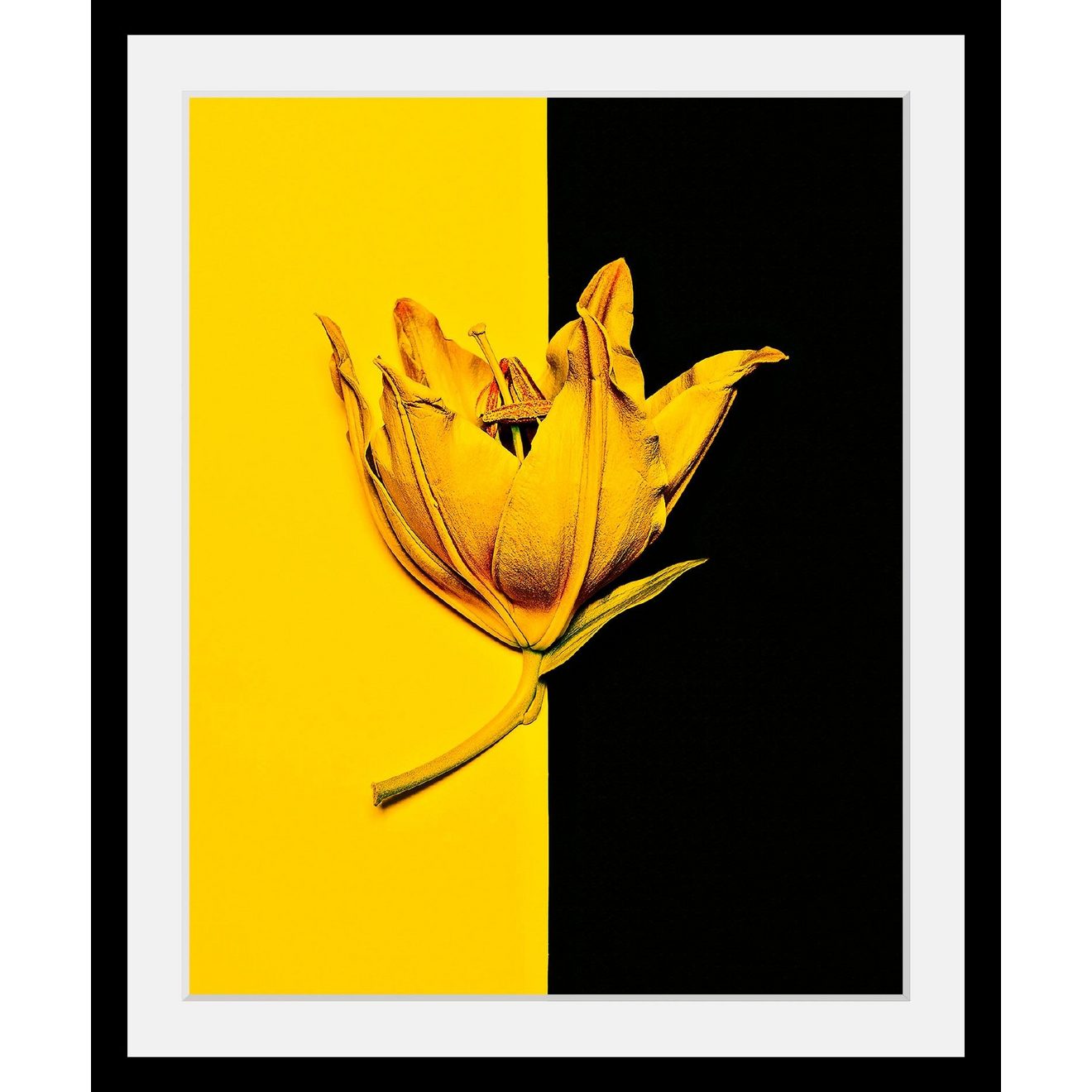 Queence Wanddecoratie Bloem HD premium posterdruk incl. houten lijst