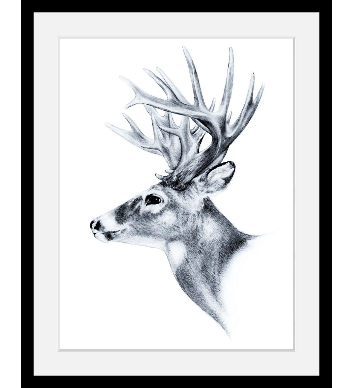Queence Wanddecoratie Edelhert HD premium posterdruk incl. houten lijst