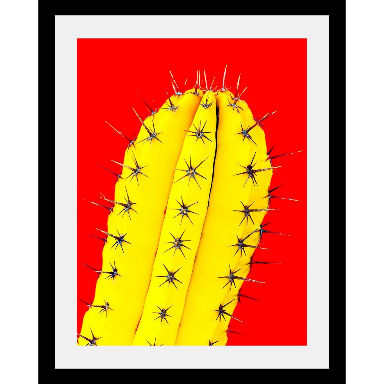 Queence Wanddecoratie Cactus HD premium posterdruk incl. houten lijst