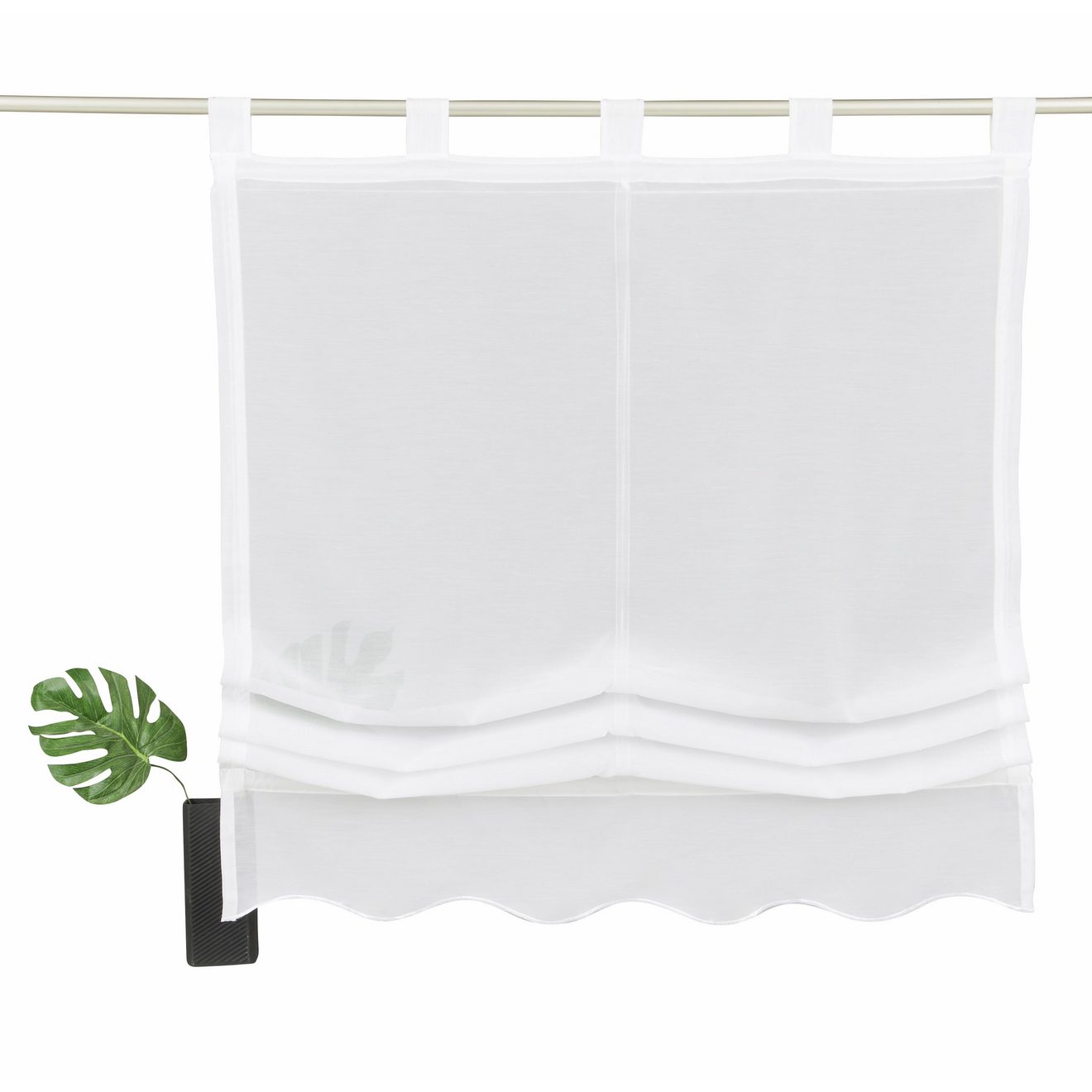 My home Romeins rolgordijn Carpi Transparant, voile, polyester (1 stuk)