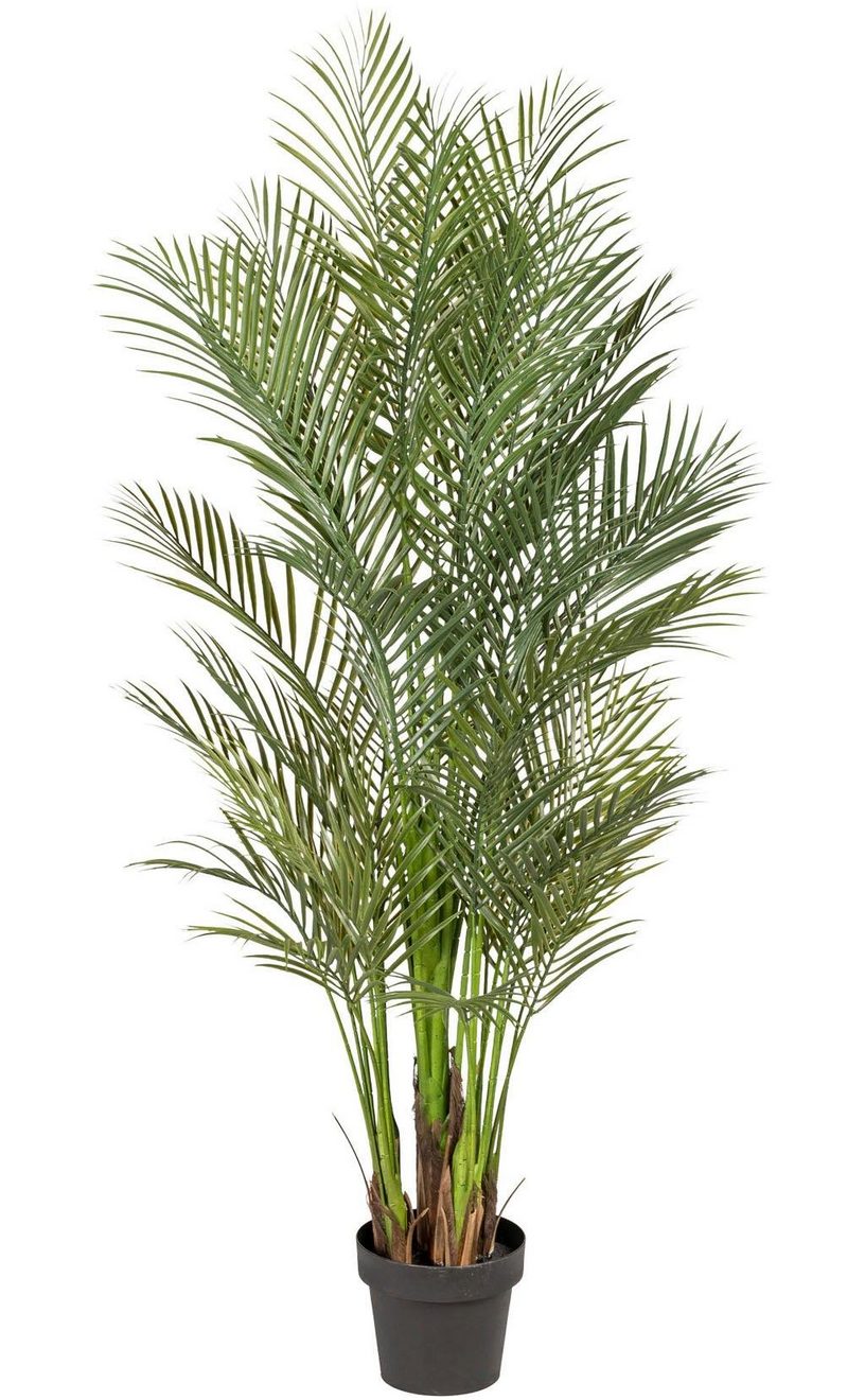 Creativ green Kunstpalm Arecapalm (1 stuk)