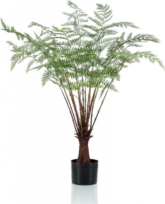 Emerald Fern plant 100 cm - 