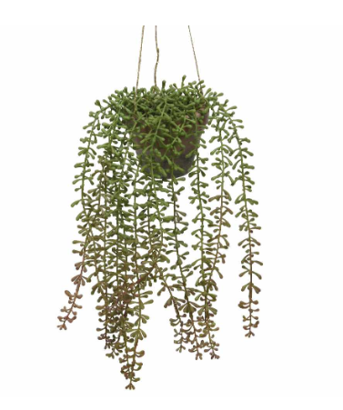 Decoris Hangplant in pot d17h32 cm groen a2 kunstbloem zijde nepbloem - 