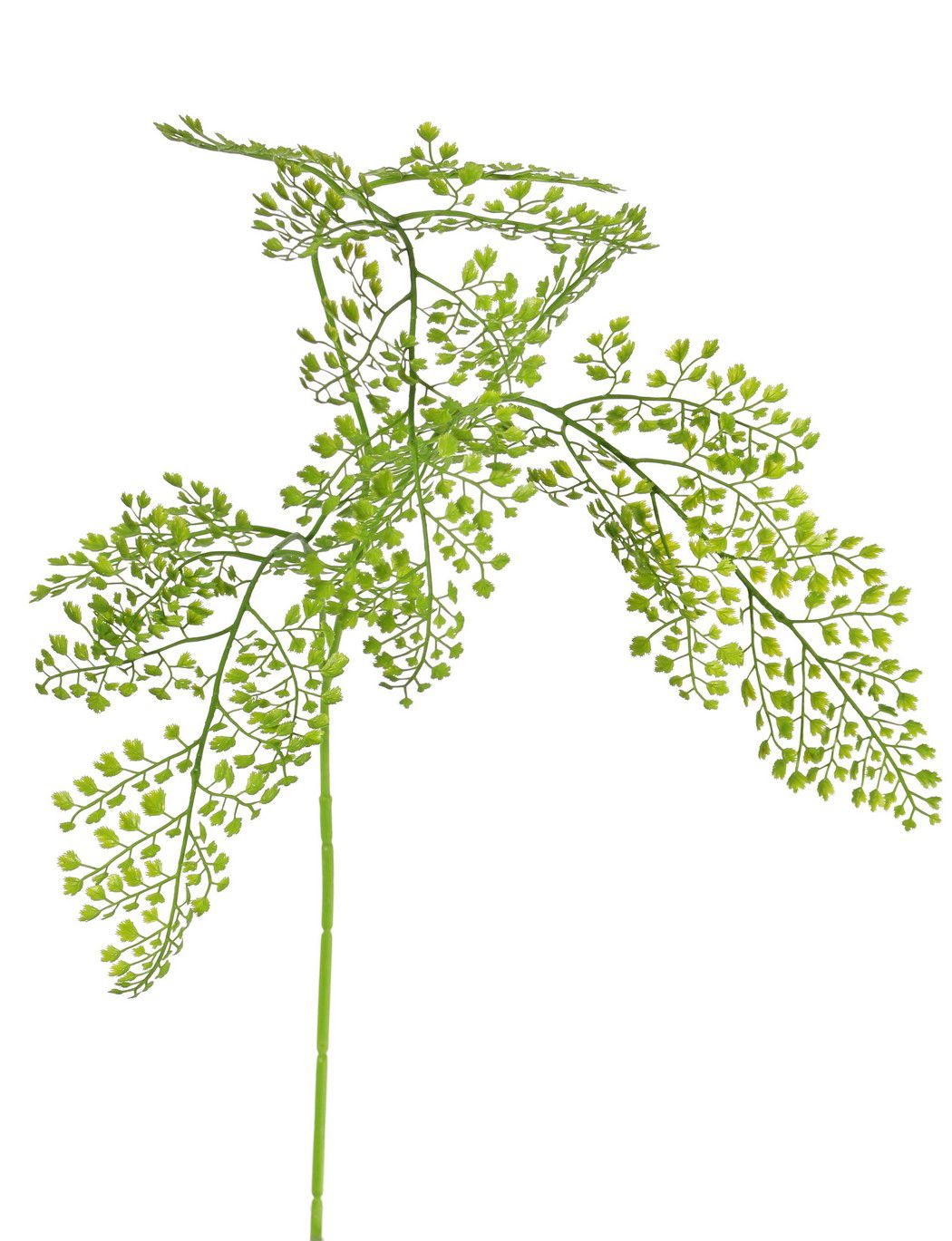 Driesprong collection Venushaar adianthum tak large green kunstbloem zijde nepbloem - 