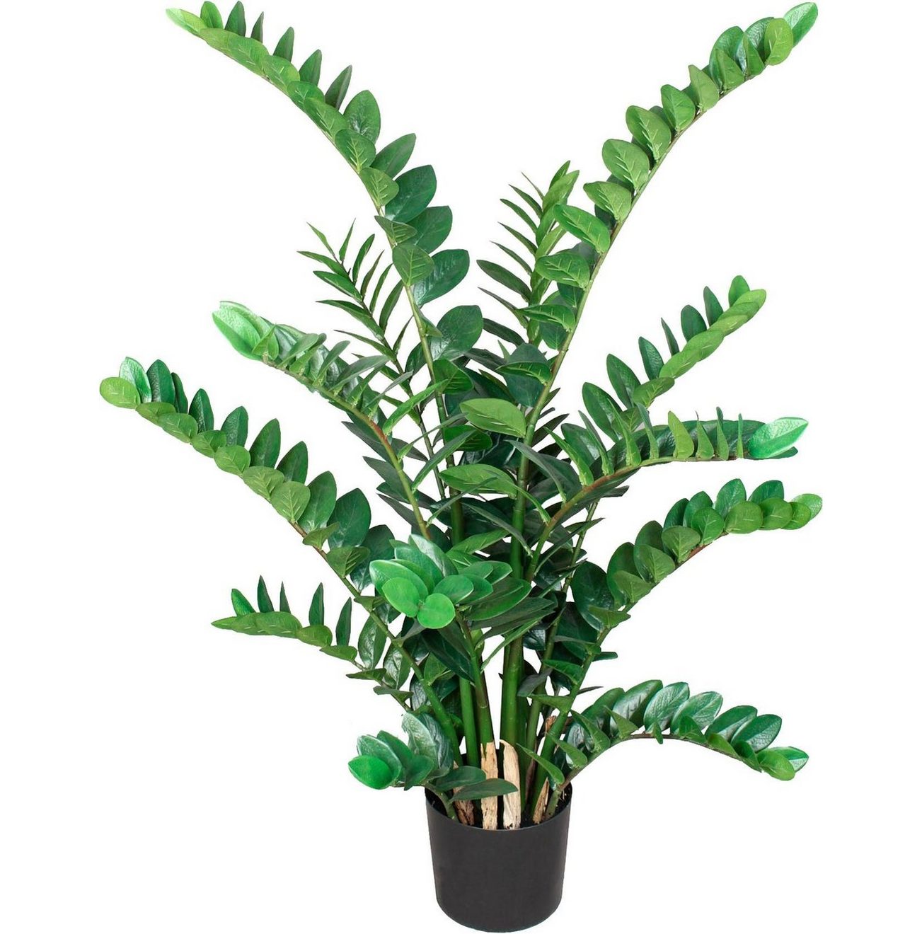 Creativ green Kunstplant Zamifolia (1 stuk)