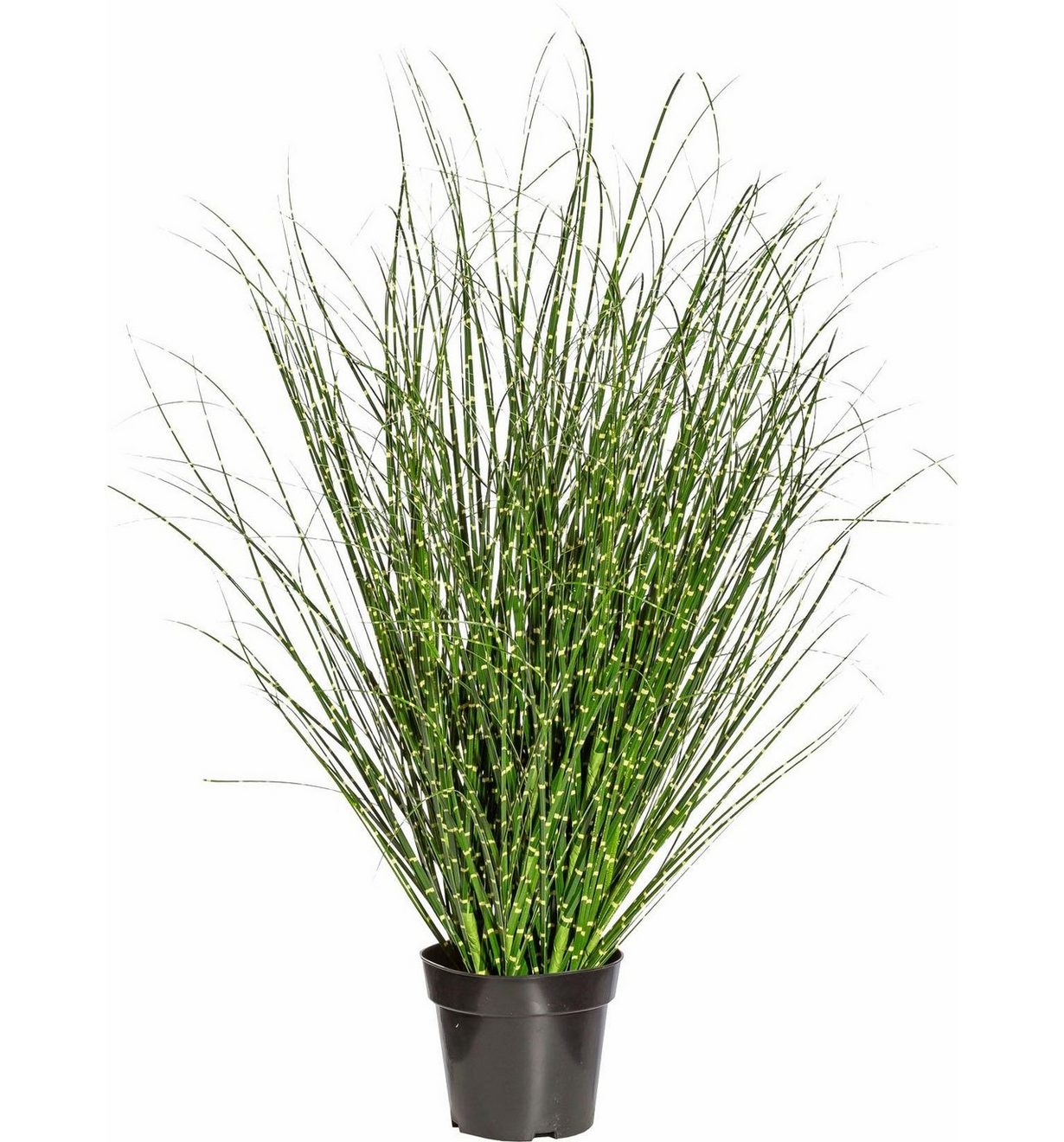 Creativ green Kunstgras Miscanthus Zebrinus (1 stuk)