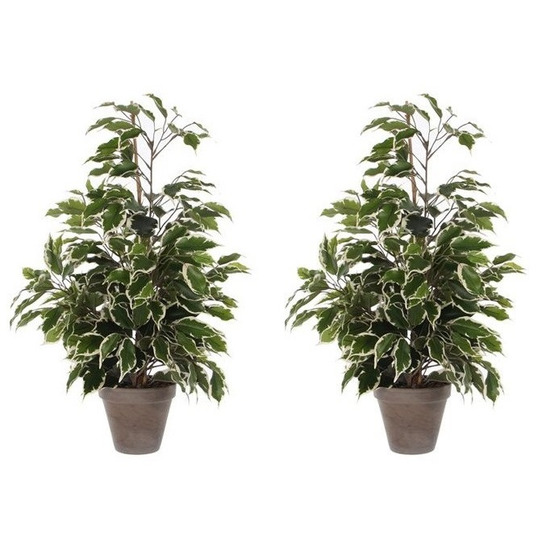 Merkloos 2x Groen/witte tropische ficus kunstplanten 65 cm voor binnen -