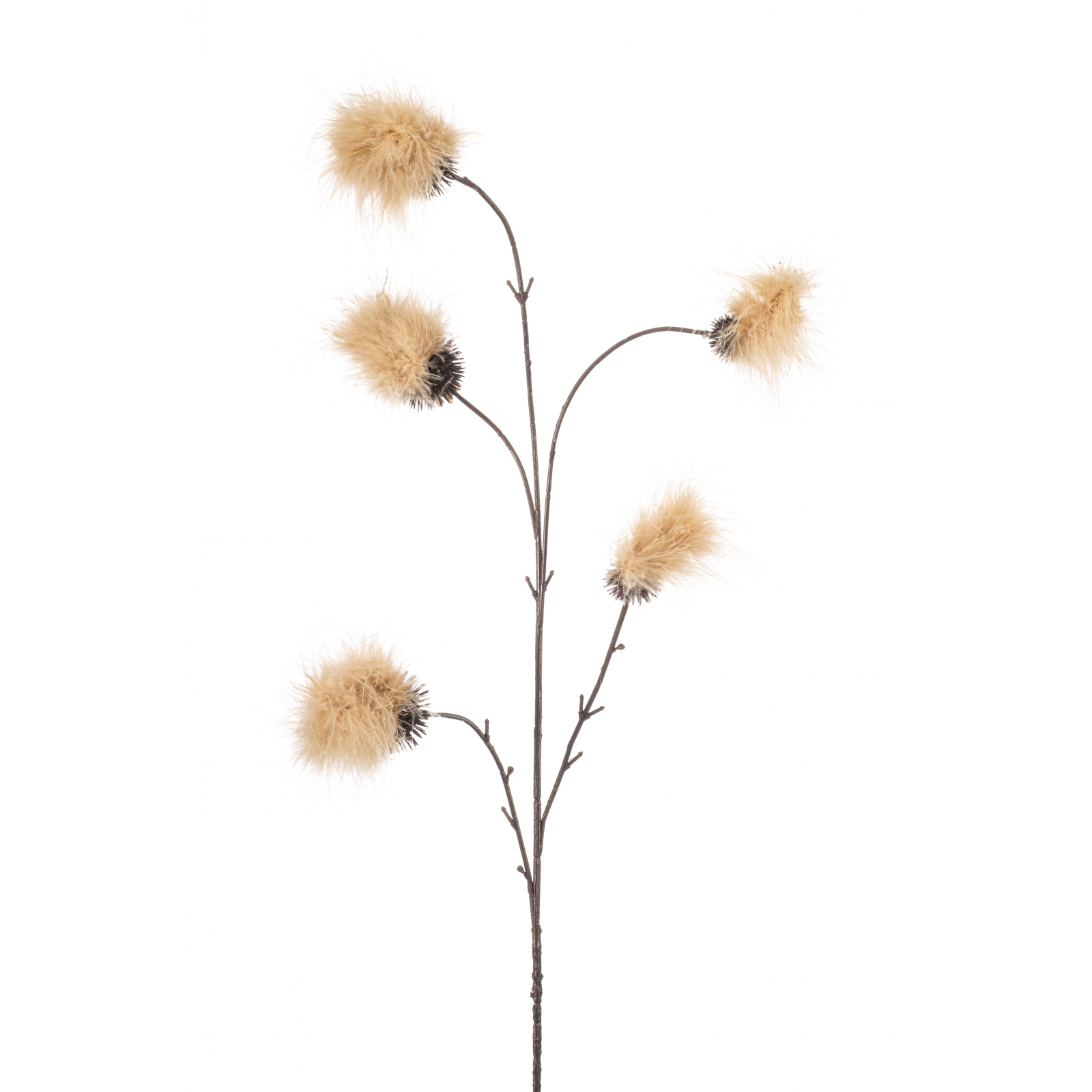 Woonexpress Pom pom