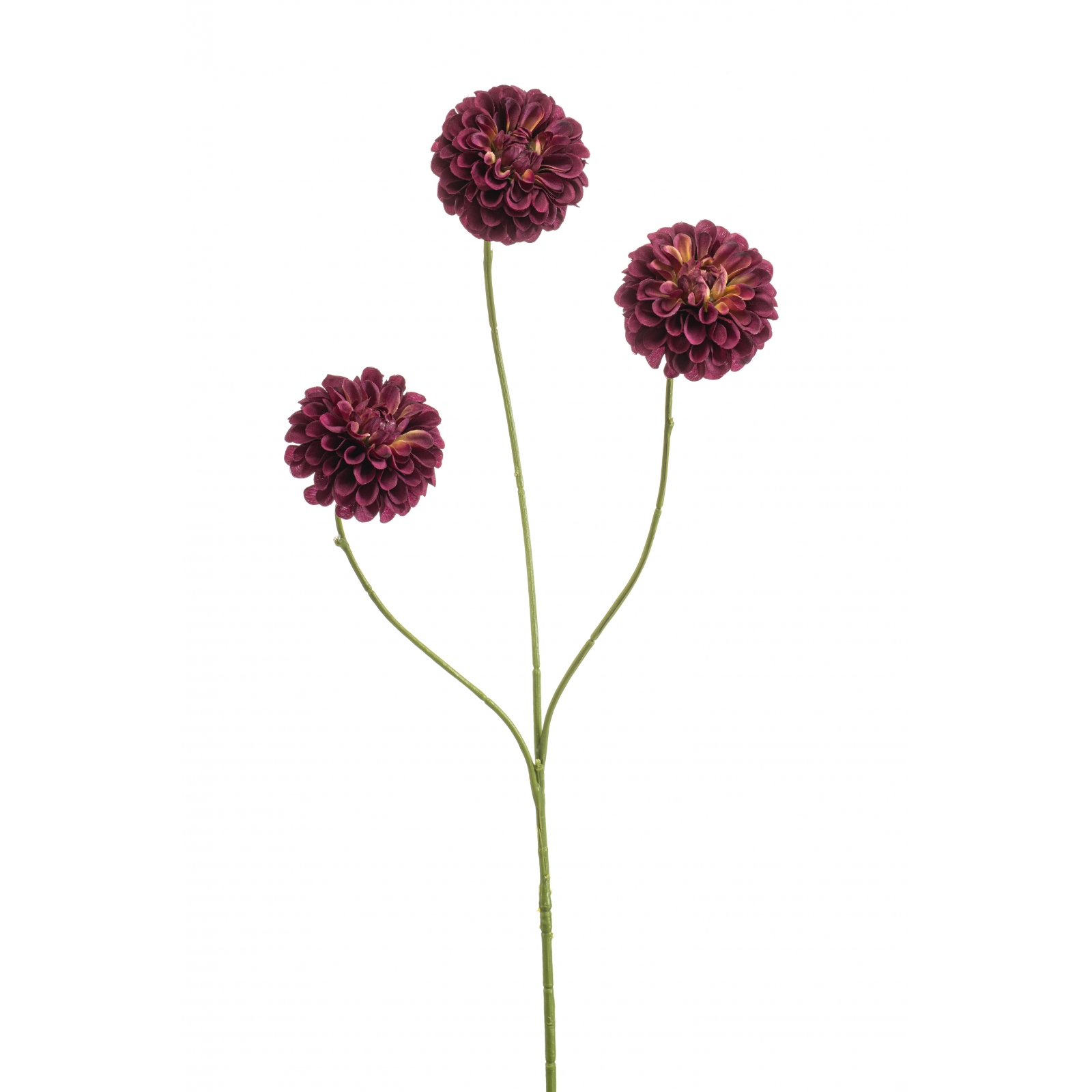 Woonexpress Dahlia pompom
