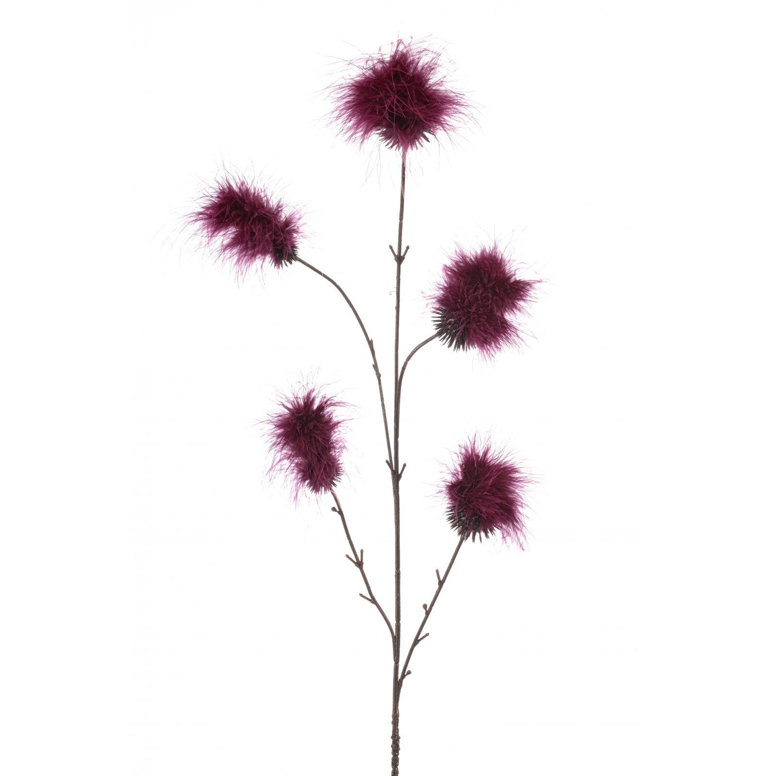 Woonexpress Pom pom