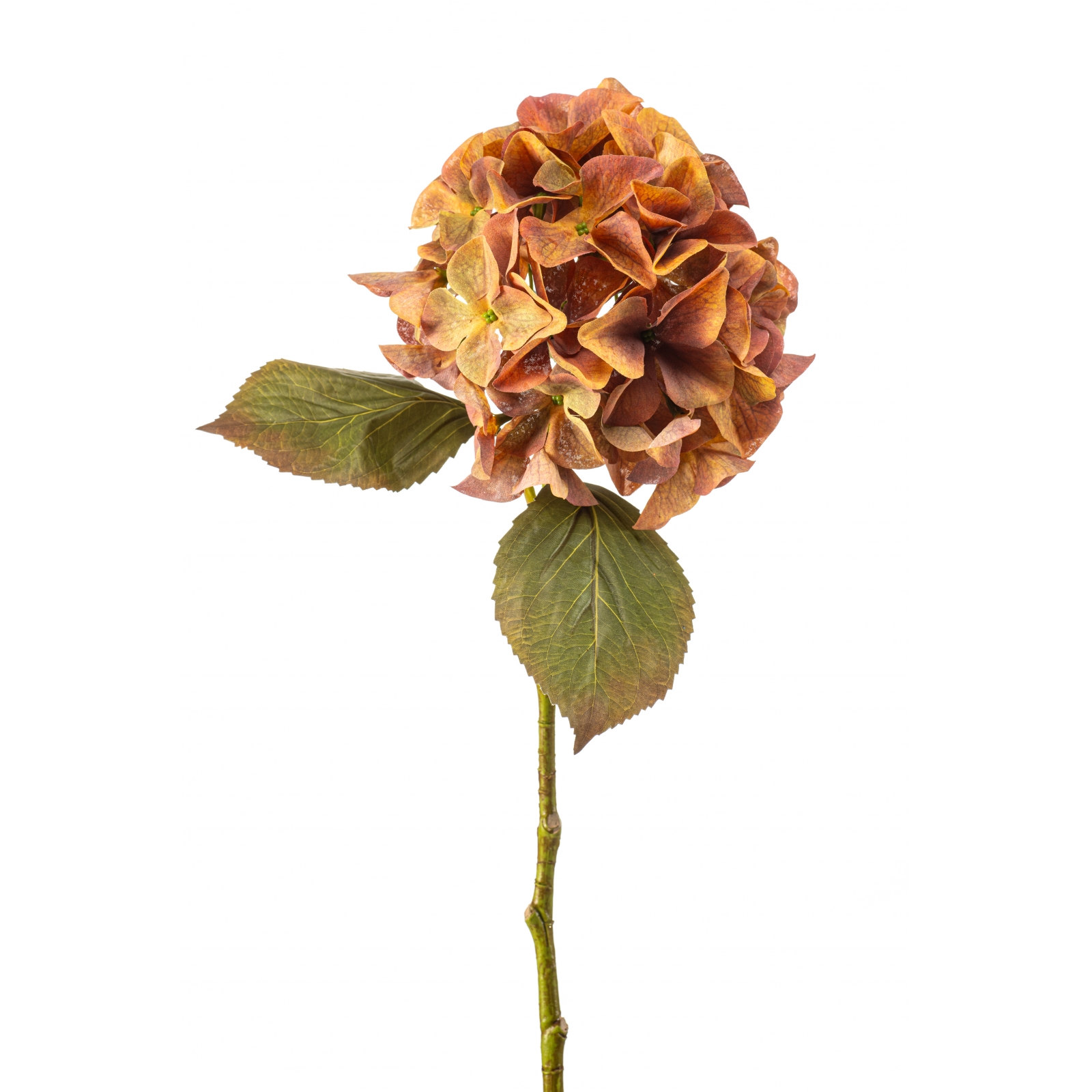 Woonexpress Hydrangea