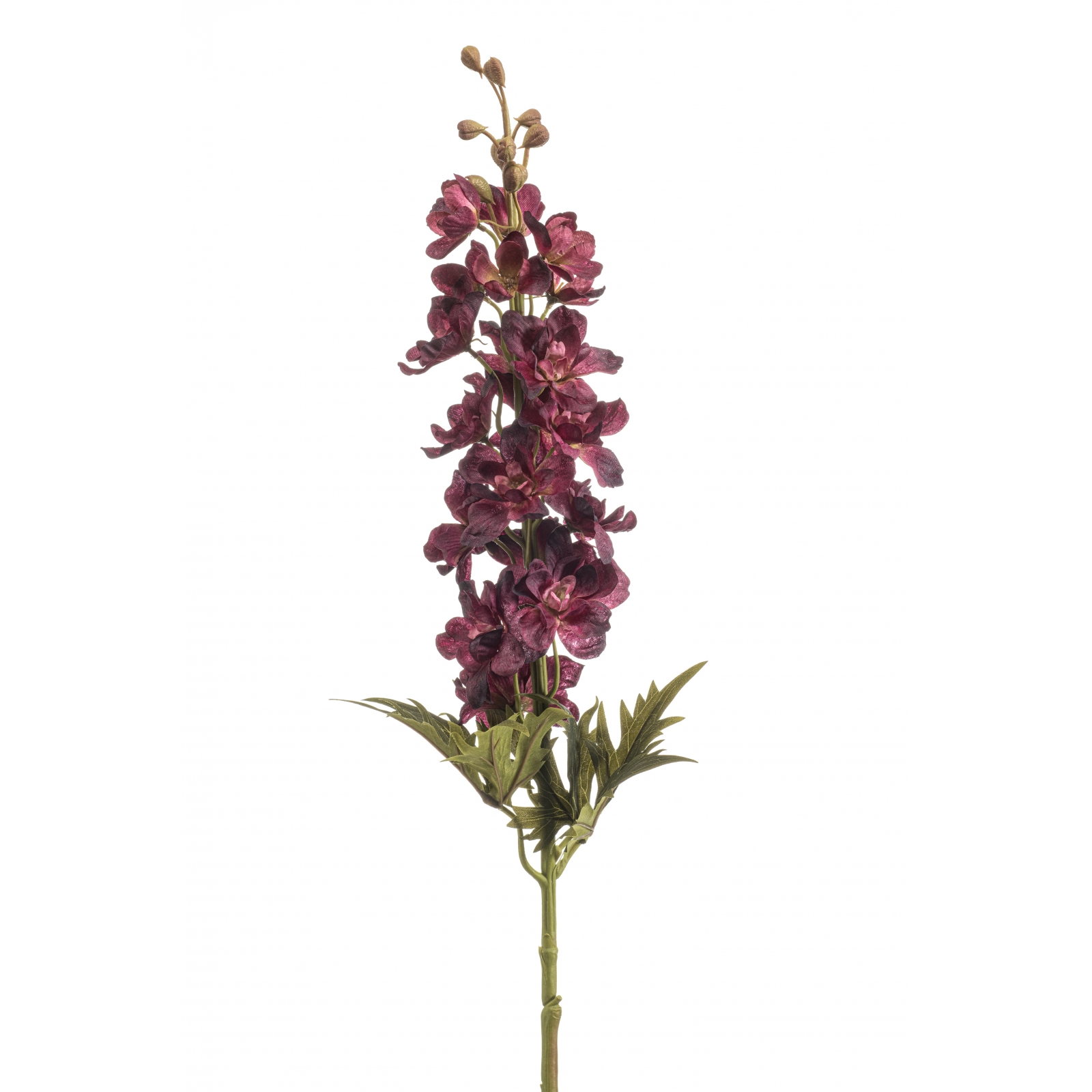 Woonexpress Delphinium