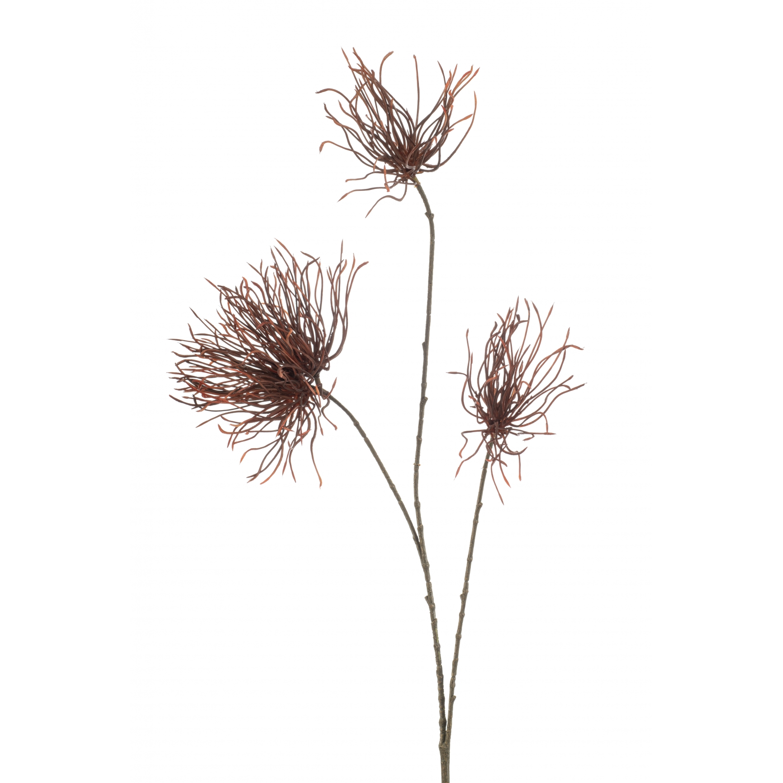 Woonexpress Thistle