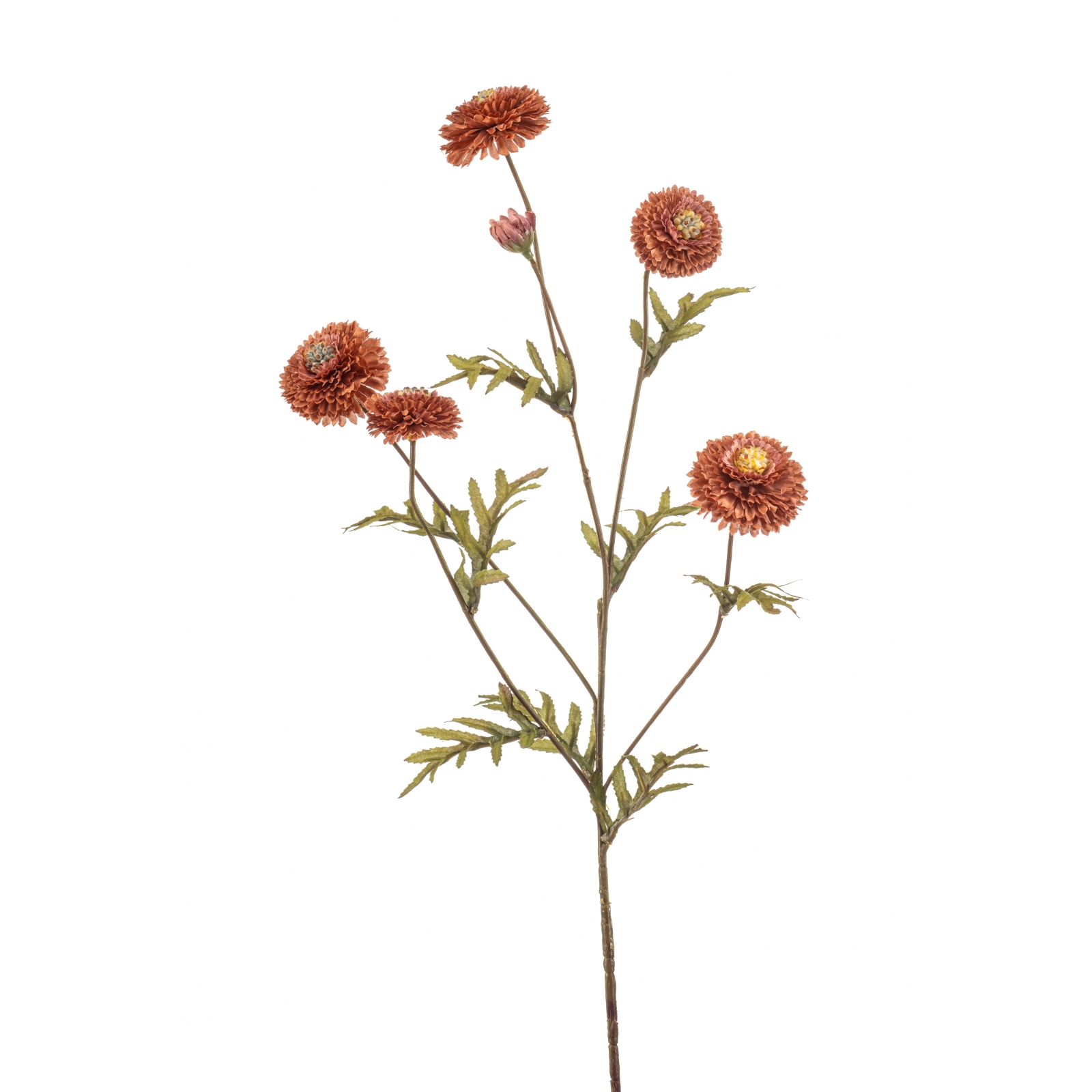 Woonexpress Aster