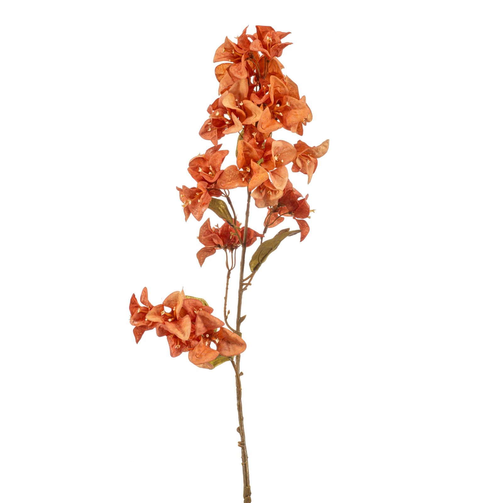 Woonexpress Bougainvillea