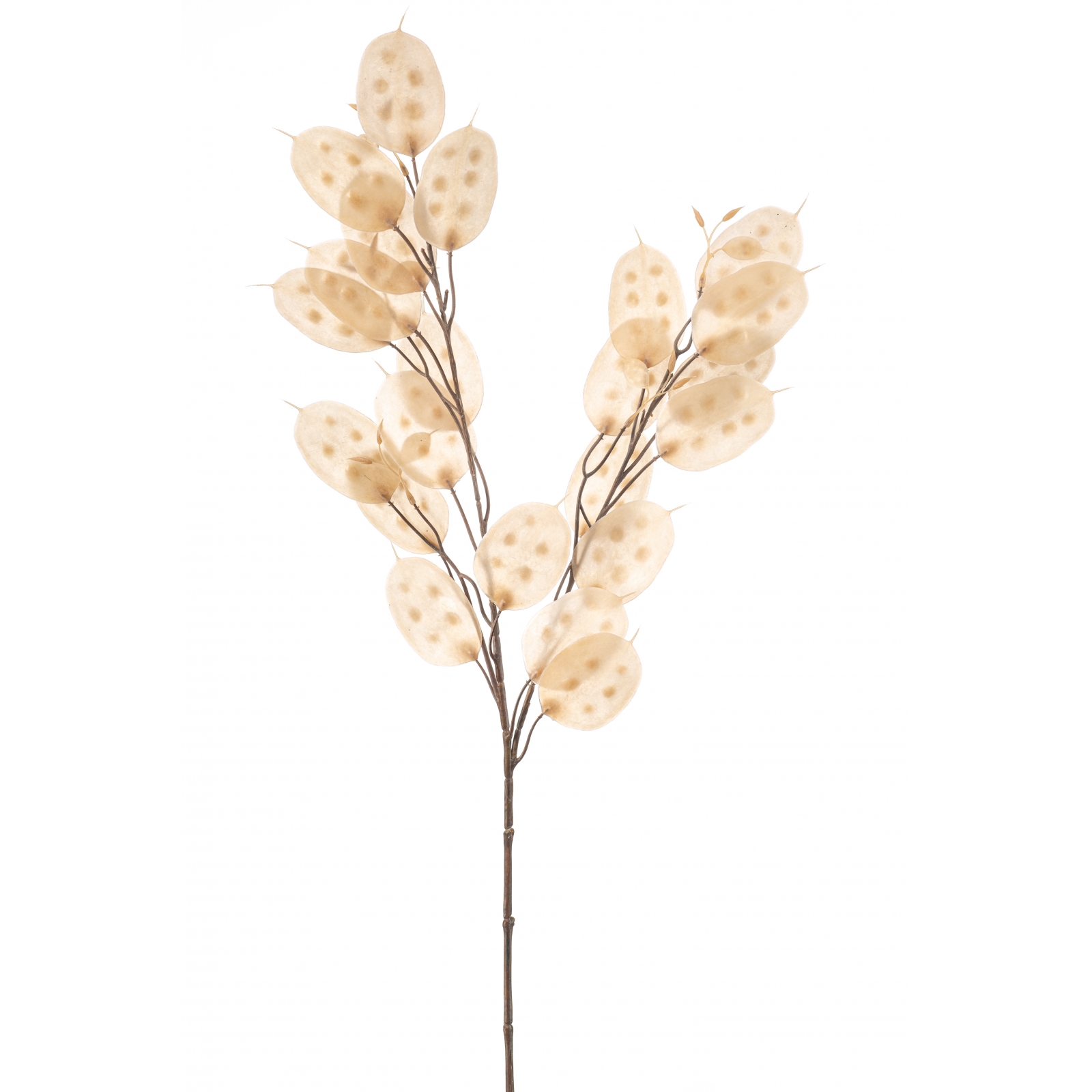 Woonexpress Lunaria