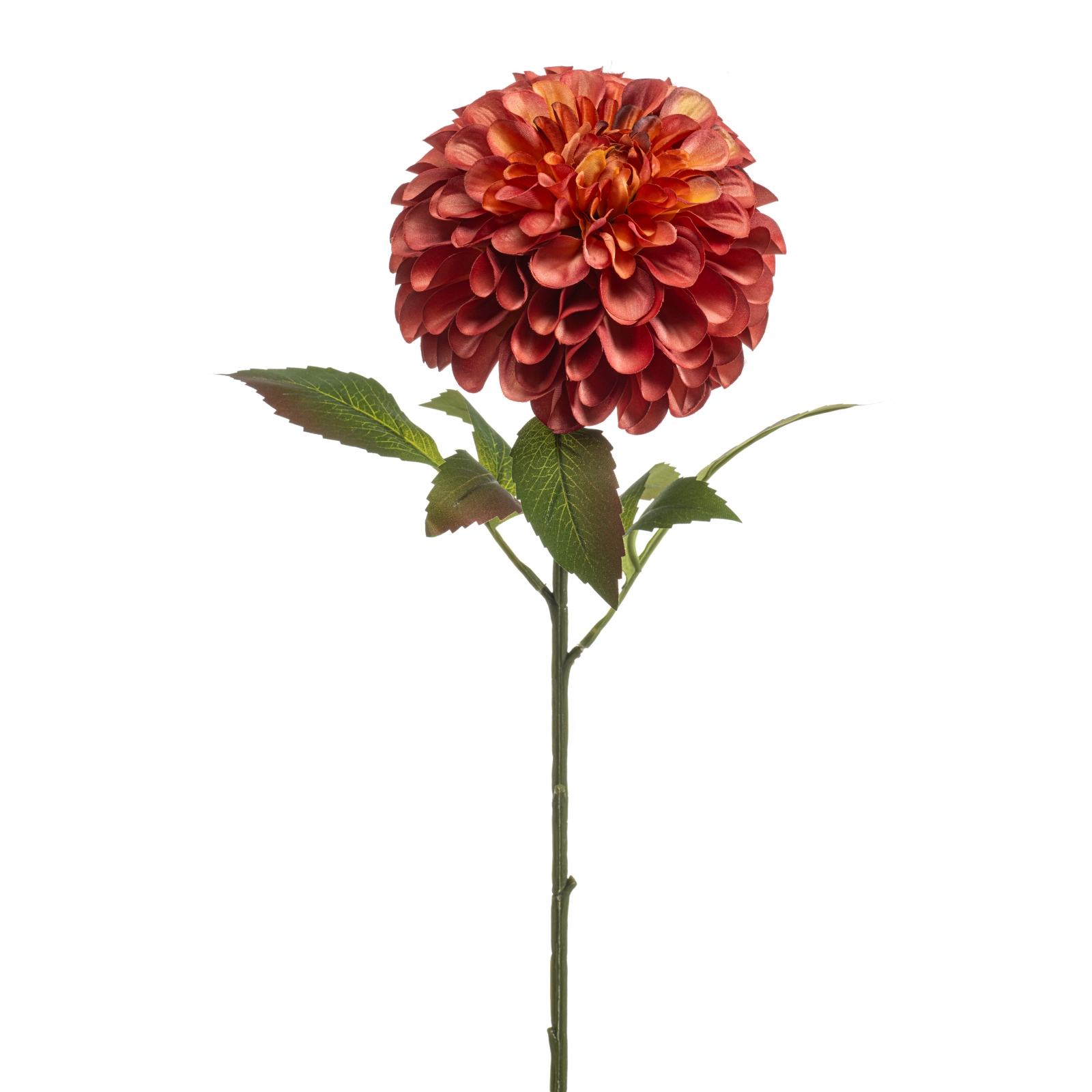 Woonexpress Dahlia