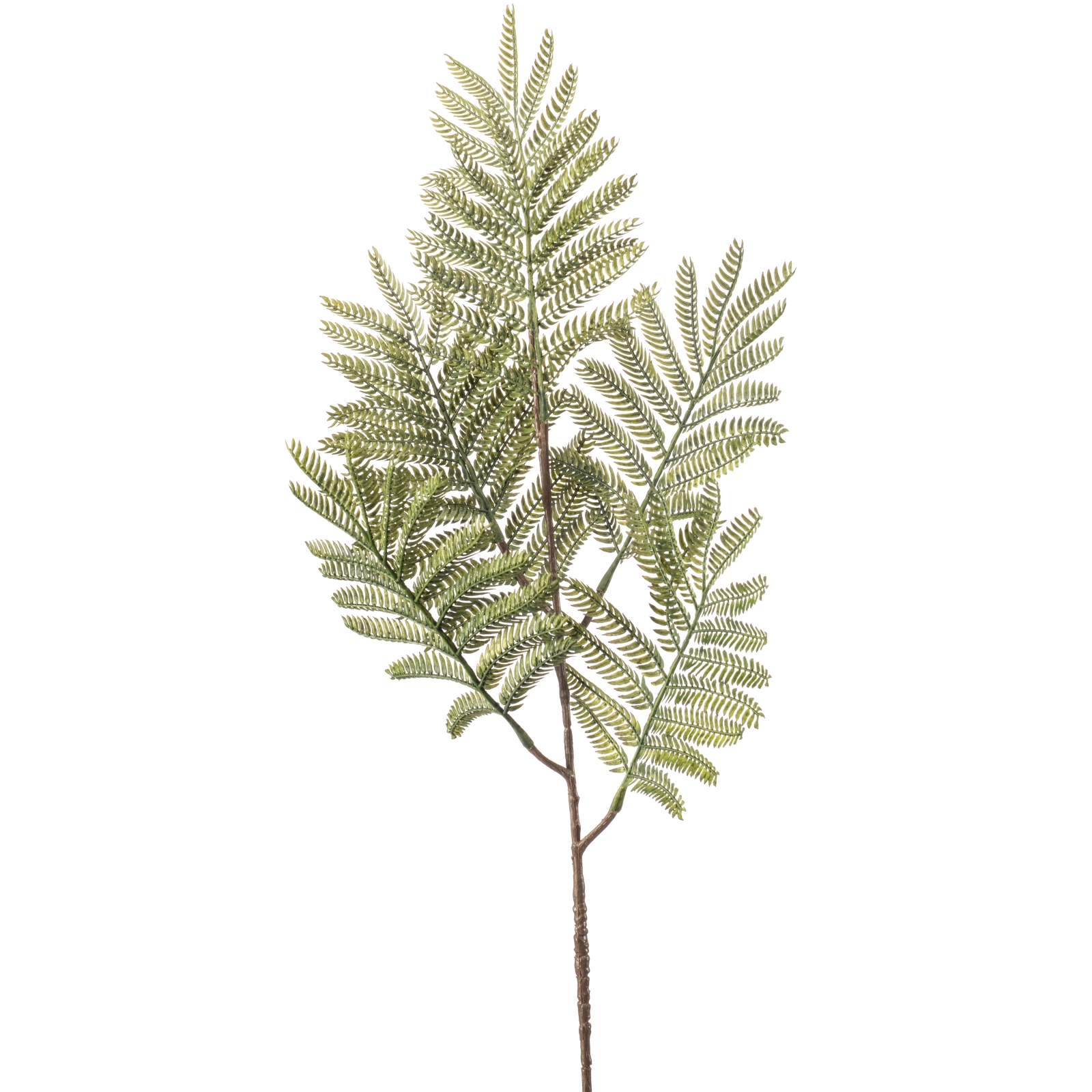 Woonexpress Mimosa